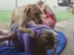 They went outdoors for a picnic and then this babe fucked the dog